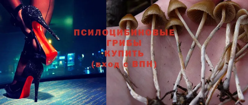 Псилоцибиновые грибы Magic Shrooms  купить наркотики сайты  Северск 