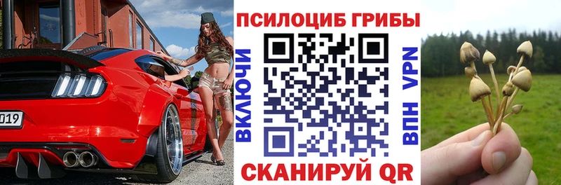 дарнет шоп  Северск  Псилоцибиновые грибы прущие грибы 