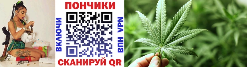 Бошки Шишки план сколько стоит Северск